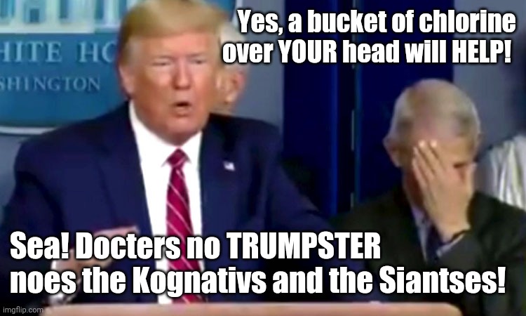 Scary Cronies have brains.  Ask The Wiz. | Yes, a bucket of chlorine over YOUR head will HELP! Sea! Docters no TRUMPSTER noes the Kognativs and the Siantses! | image tagged in covidiots,trump,donald trump,covid-19,covid,covid 19 | made w/ Imgflip meme maker