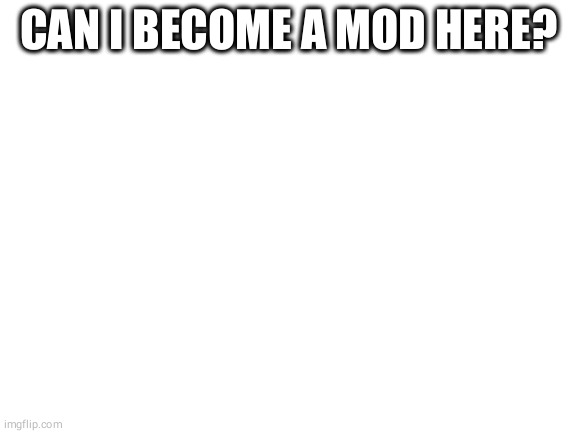 Blank White Template | CAN I BECOME A MOD HERE? | image tagged in blank white template | made w/ Imgflip meme maker