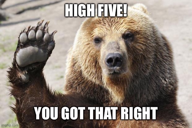 High Five Bear | HIGH FIVE! YOU GOT THAT RIGHT | image tagged in high five bear | made w/ Imgflip meme maker