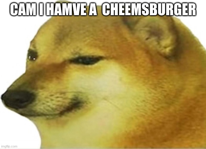im hungry | CAM I HAMVE A  CHEEMSBURGER | image tagged in cheems | made w/ Imgflip meme maker