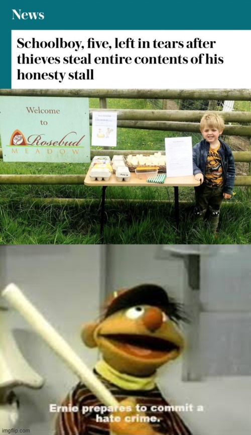 He's only 5! | image tagged in ernie prepares to commit a hate crime,memes,sad,children,stealing | made w/ Imgflip meme maker