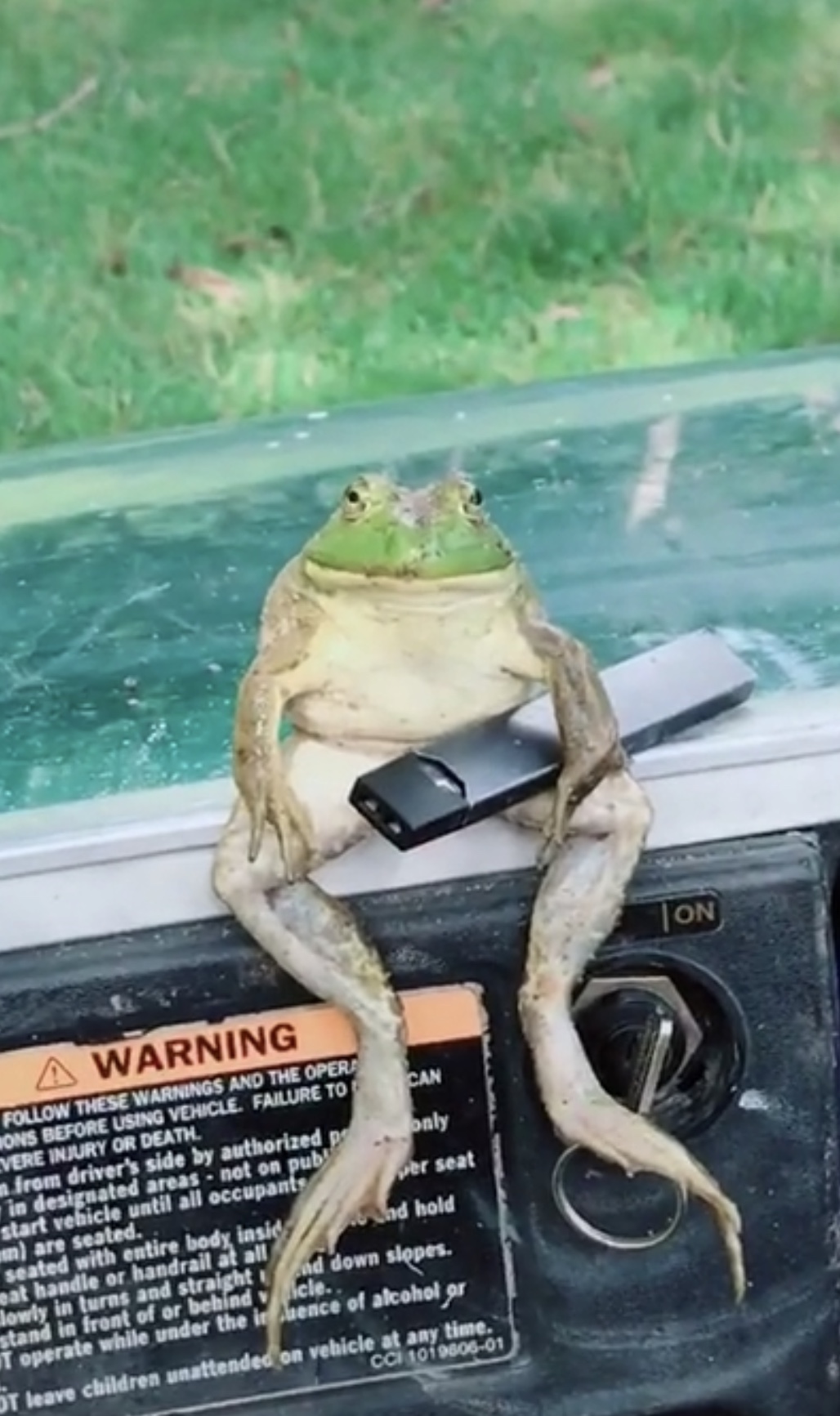 The vaping frog Blank Meme Template