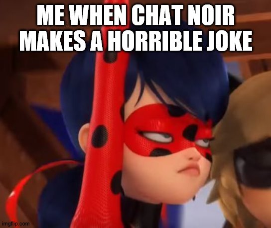 Grumpy Miraculous | ME WHEN CHAT NOIR MAKES A HORRIBLE JOKE | image tagged in grumpy miraculous | made w/ Imgflip meme maker