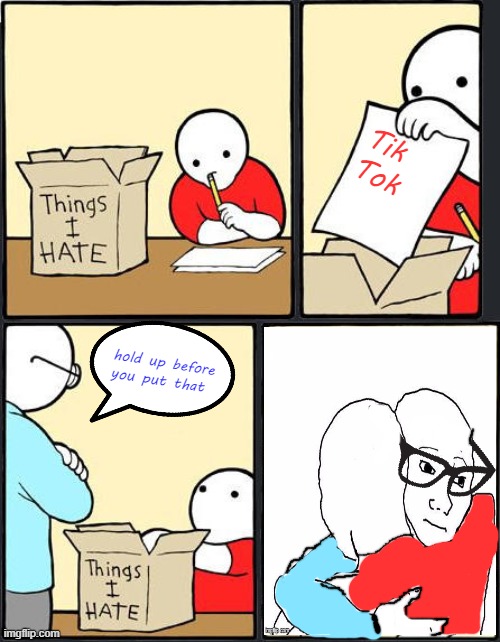 things i hate box meme | Tik Tok; hold up before you put that | image tagged in things i hate box meme | made w/ Imgflip meme maker