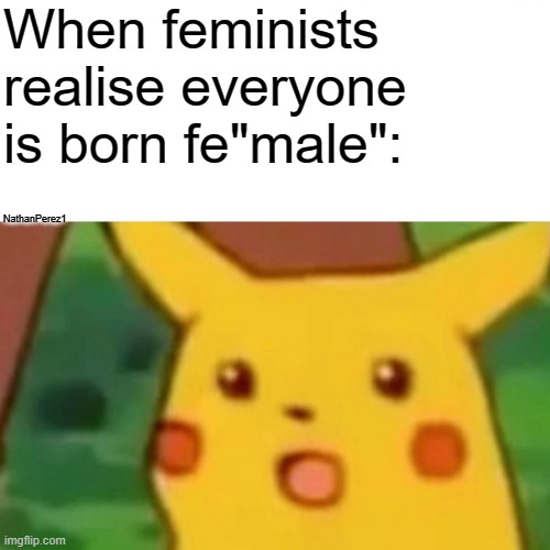 Surprised Pikachu Meme | When feminists realise everyone is born fe"male":; NathanPerez1 | image tagged in memes,surprised pikachu | made w/ Imgflip meme maker