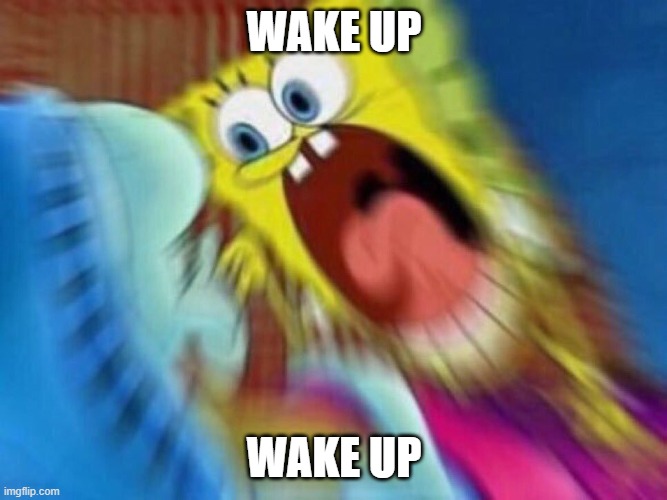 Screaming Spongebob | WAKE UP; WAKE UP | image tagged in screaming spongebob | made w/ Imgflip meme maker