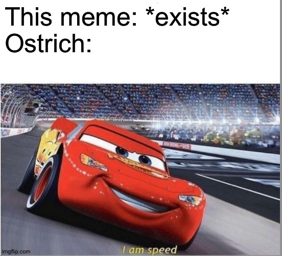 I am Speed | This meme: *exists*
Ostrich: | image tagged in i am speed | made w/ Imgflip meme maker