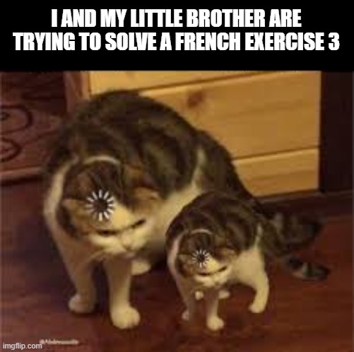 I AND MY LITTLE BROTHER ARE TRYING TO SOLVE A FRENCH EXERCISE 3 | image tagged in memes,meme,funny,2020,funny memes,lol so funny | made w/ Imgflip meme maker