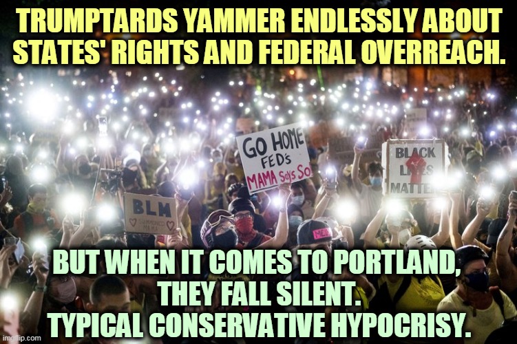 There were hundreds of demonstrators before DHS. After Trump, thousands of demonstrators. Everything Trump touches gets worse. | TRUMPTARDS YAMMER ENDLESSLY ABOUT STATES' RIGHTS AND FEDERAL OVERREACH. BUT WHEN IT COMES TO PORTLAND, 
THEY FALL SILENT.
TYPICAL CONSERVATIVE HYPOCRISY. | image tagged in police state,washington dc,trump,protests | made w/ Imgflip meme maker