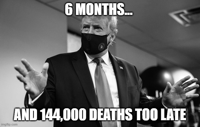6 months too late | 6 MONTHS... AND 144,000 DEATHS TOO LATE | image tagged in trump mask | made w/ Imgflip meme maker