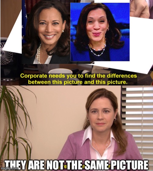 Just a little too much! | THEY ARE NOT THE SAME PICTURE | image tagged in find the difference between,facelift,oops | made w/ Imgflip meme maker