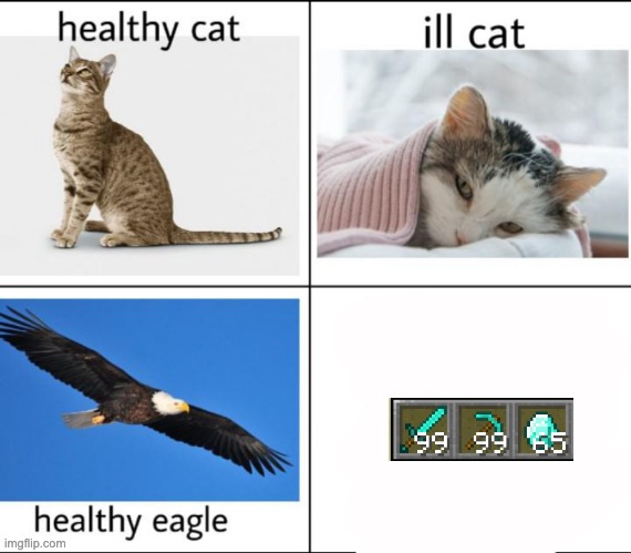 image tagged in healthy cat ill cat healthy eagle | made w/ Imgflip meme maker