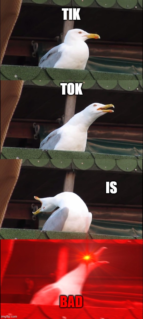 Inhaling Seagull Meme | TIK TOK IS BAD | image tagged in memes,inhaling seagull | made w/ Imgflip meme maker