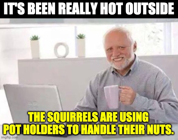Harold | IT'S BEEN REALLY HOT OUTSIDE; THE SQUIRRELS ARE USING POT HOLDERS TO HANDLE THEIR NUTS. | image tagged in harold | made w/ Imgflip meme maker