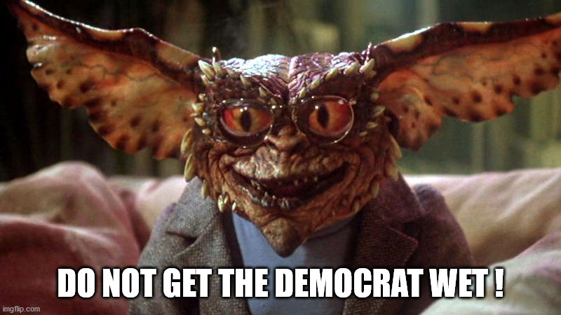 Gremlin  | DO NOT GET THE DEMOCRAT WET ! | image tagged in gremlin | made w/ Imgflip meme maker