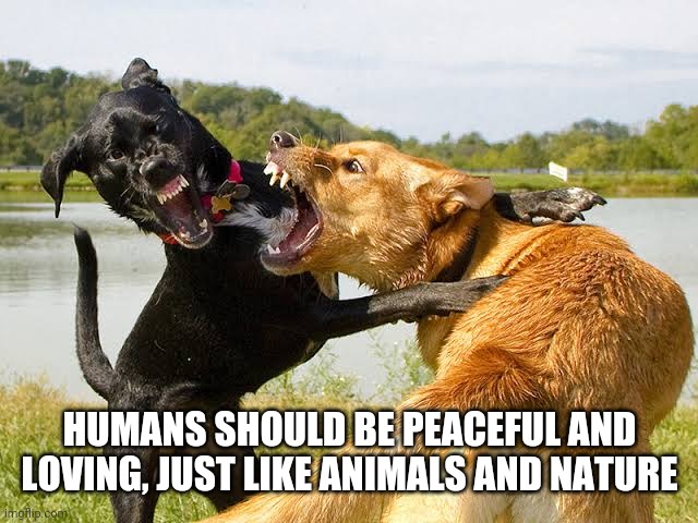 HUMANS SHOULD BE PEACEFUL AND LOVING, JUST LIKE ANIMALS AND NATURE | made w/ Imgflip meme maker