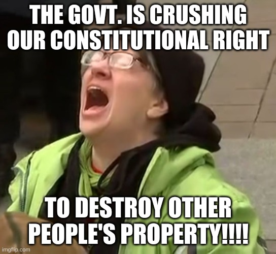 snowflake | THE GOVT. IS CRUSHING OUR CONSTITUTIONAL RIGHT TO DESTROY OTHER PEOPLE'S PROPERTY!!!! | image tagged in snowflake | made w/ Imgflip meme maker