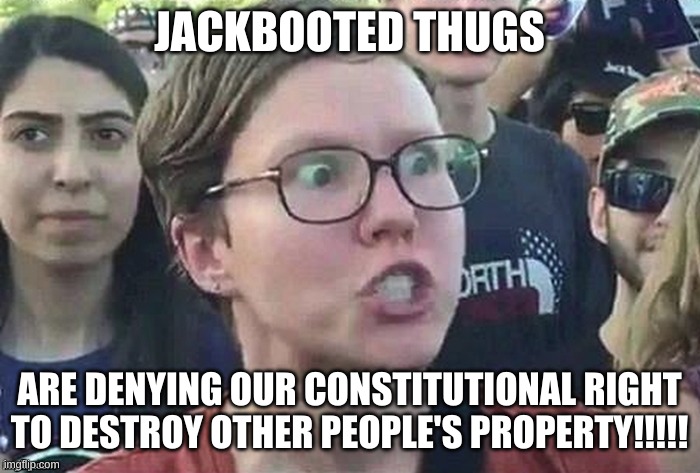 Triggered snowflake | JACKBOOTED THUGS; ARE DENYING OUR CONSTITUTIONAL RIGHT TO DESTROY OTHER PEOPLE'S PROPERTY!!!!! | image tagged in triggered snowflake | made w/ Imgflip meme maker