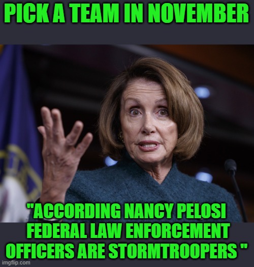 yep | PICK A TEAM IN NOVEMBER; "ACCORDING NANCY PELOSI  FEDERAL LAW ENFORCEMENT OFFICERS ARE STORMTROOPERS " | image tagged in good old nancy pelosi,democrats,2020 elections | made w/ Imgflip meme maker