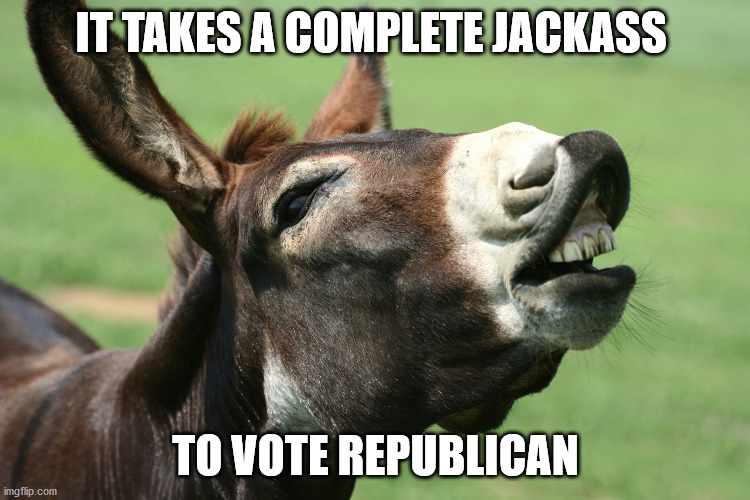 Prepublican Jackass | IT TAKES A COMPLETE JACKASS; TO VOTE REPUBLICAN | image tagged in jackass,republicans,democrats | made w/ Imgflip meme maker