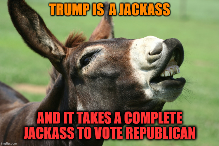 Complete Jackass Trump | TRUMP IS  A JACKASS; AND IT TAKES A COMPLETE JACKASS TO VOTE REPUBLICAN | image tagged in jackass,trump,trump voters,republicans,democrats | made w/ Imgflip meme maker