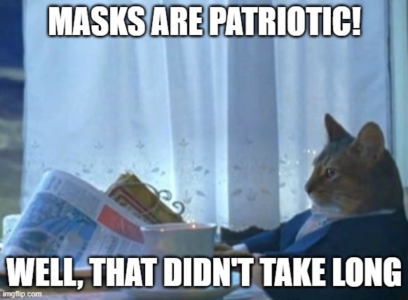I should buy a mask cat | MASKS ARE PATRIOTIC! WELL, THAT DIDN'T TAKE LONG | image tagged in memes,i should buy a boat cat,masks,politics | made w/ Imgflip meme maker