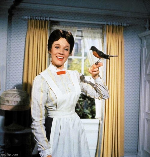 Mary Poppins | image tagged in mary poppins | made w/ Imgflip meme maker