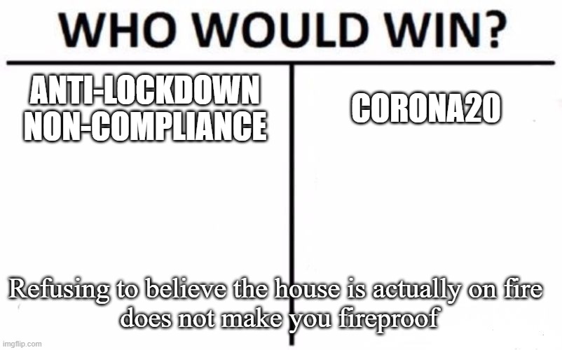 Playing With Fire | ANTI-LOCKDOWN NON-COMPLIANCE; CORONA20; Refusing to believe the house is actually on fire 
does not make you fireproof | image tagged in memes,who would win | made w/ Imgflip meme maker