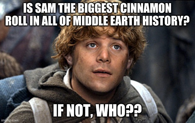 Cinnamon Roll: some one filled with so much good they are precious and seemingly perfect | IS SAM THE BIGGEST CINNAMON ROLL IN ALL OF MIDDLE EARTH HISTORY? IF NOT, WHO?? | image tagged in samwise | made w/ Imgflip meme maker