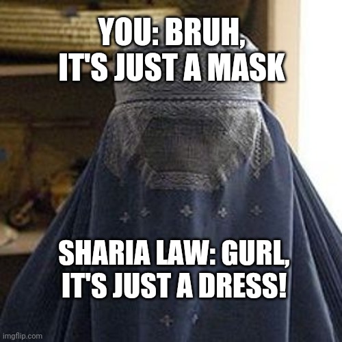 "Just wear the mask bruh!" | YOU: BRUH, 
IT'S JUST A MASK SHARIA LAW: GURL, IT'S JUST A DRESS! | image tagged in oppressed-burqajpg,tyranny,covidiots,covid-19,face mask | made w/ Imgflip meme maker