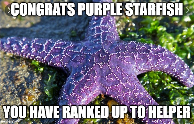 CONGRATS PURPLE STARFISH; YOU HAVE RANKED UP TO HELPER | made w/ Imgflip meme maker