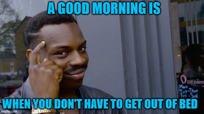 Roll Safe Think About It | A GOOD MORNING IS; WHEN YOU DON'T HAVE TO GET OUT OF BED | image tagged in memes,roll safe think about it | made w/ Imgflip meme maker