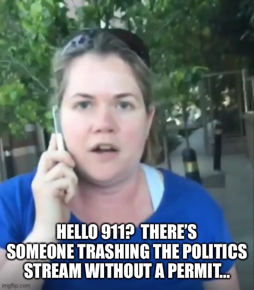 Permit Patty | HELLO 911?  THERE’S SOMEONE TRASHING THE POLITICS STREAM WITHOUT A PERMIT... | image tagged in permit patty | made w/ Imgflip meme maker