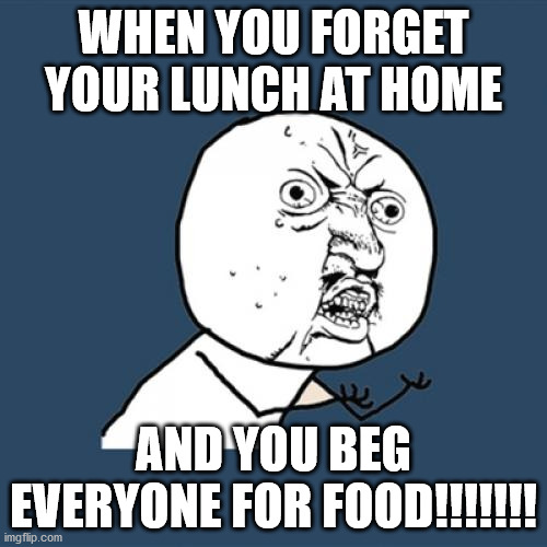 Y U No | WHEN YOU FORGET YOUR LUNCH AT HOME; AND YOU BEG EVERYONE FOR FOOD!!!!!!! | image tagged in memes,y u no | made w/ Imgflip meme maker