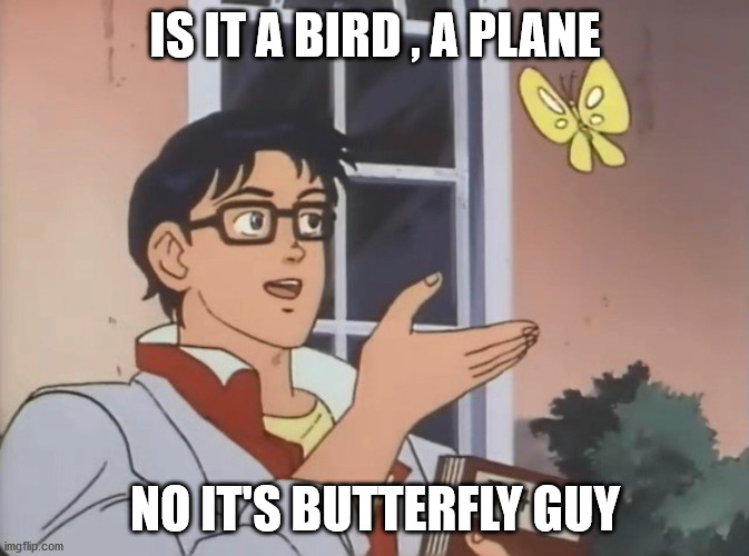 Is this a bird? | IS IT A BIRD , A PLANE; NO IT'S BUTTERFLY GUY | image tagged in is this a bird | made w/ Imgflip meme maker