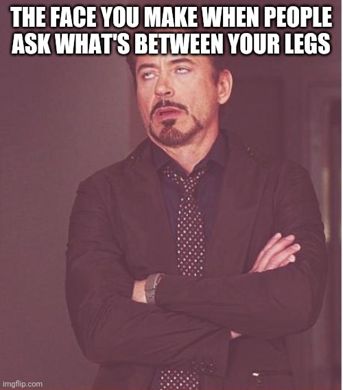 Face You Make Robert Downey Jr | THE FACE YOU MAKE WHEN PEOPLE ASK WHAT'S BETWEEN YOUR LEGS | image tagged in memes,face you make robert downey jr,non binary,transgender,lgbt,lgbtq | made w/ Imgflip meme maker