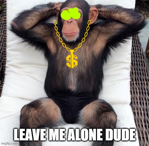 MON-KEY | LEAVE ME ALONE DUDE | image tagged in monky | made w/ Imgflip meme maker