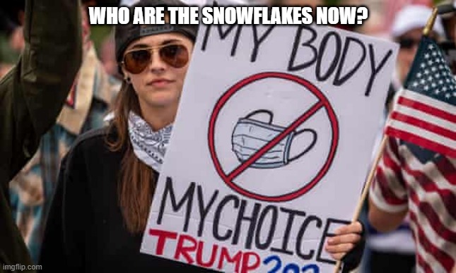 Ooohh!!!, Poor me!! I don't want to wear that socialistic mask. Boo hooooo | WHO ARE THE SNOWFLAKES NOW? | image tagged in snowflakes | made w/ Imgflip meme maker