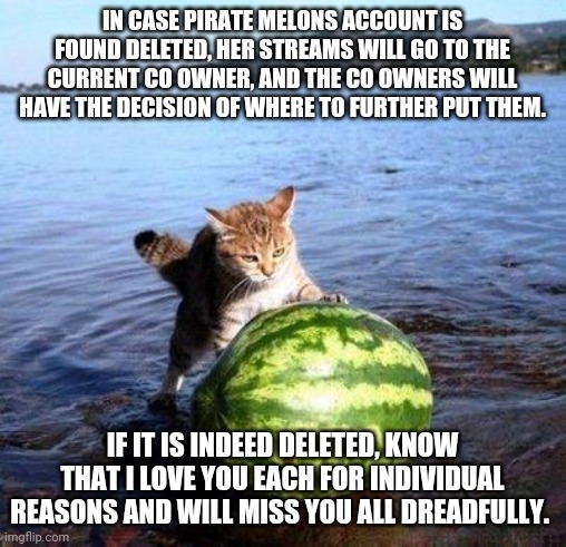 Argument invalid watermelon cat | IN CASE PIRATE MELONS ACCOUNT IS FOUND DELETED, HER STREAMS WILL GO TO THE CURRENT CO OWNER, AND THE CO OWNERS WILL HAVE THE DECISION OF WHERE TO FURTHER PUT THEM. IF IT IS INDEED DELETED, KNOW THAT I LOVE YOU EACH FOR INDIVIDUAL REASONS AND WILL MISS YOU ALL DREADFULLY. | image tagged in argument invalid watermelon cat | made w/ Imgflip meme maker