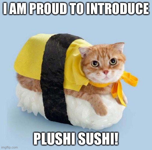 Cat Sushi | I AM PROUD TO INTRODUCE; PLUSHI SUSHI! | image tagged in cat sushi | made w/ Imgflip meme maker