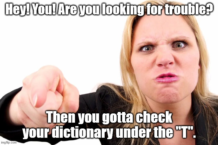 Offended woman | Hey! You! Are you looking for trouble? Then you gotta check your dictionary under the "T". | image tagged in offended woman | made w/ Imgflip meme maker