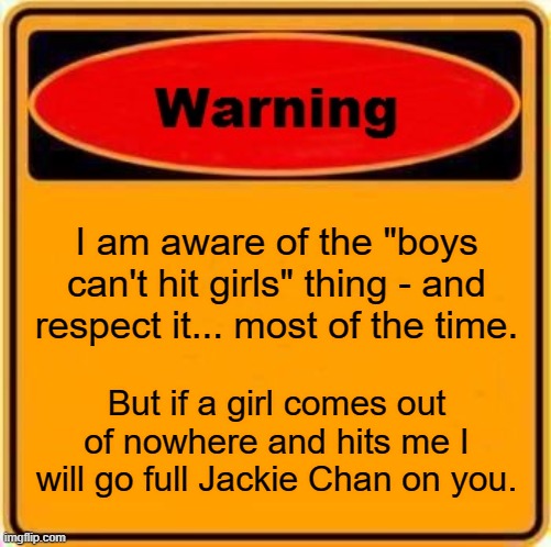 Warning Sign Meme | I am aware of the "boys can't hit girls" thing - and respect it... most of the time. But if a girl comes out of nowhere and hits me I will go full Jackie Chan on you. | image tagged in memes,warning sign | made w/ Imgflip meme maker