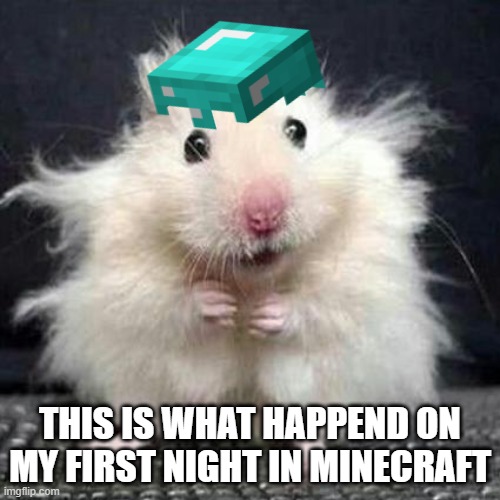 Stressed Mouse | THIS IS WHAT HAPPEND ON MY FIRST NIGHT IN MINECRAFT | image tagged in stressed mouse | made w/ Imgflip meme maker