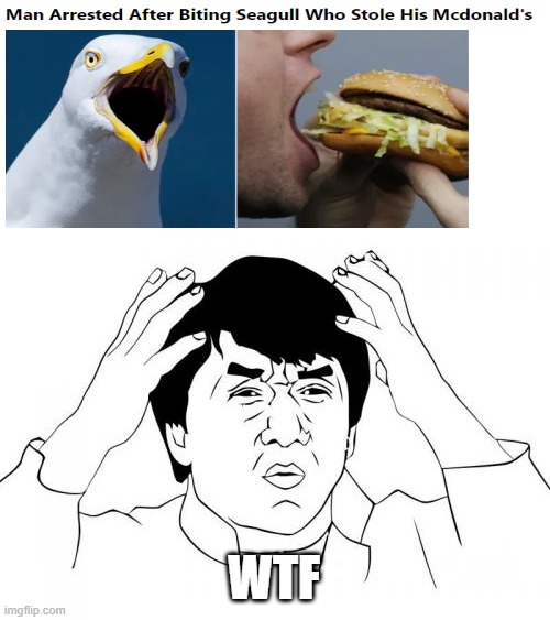 WTF?! | WTF | image tagged in memes,jackie chan wtf,funny,mcdonalds | made w/ Imgflip meme maker