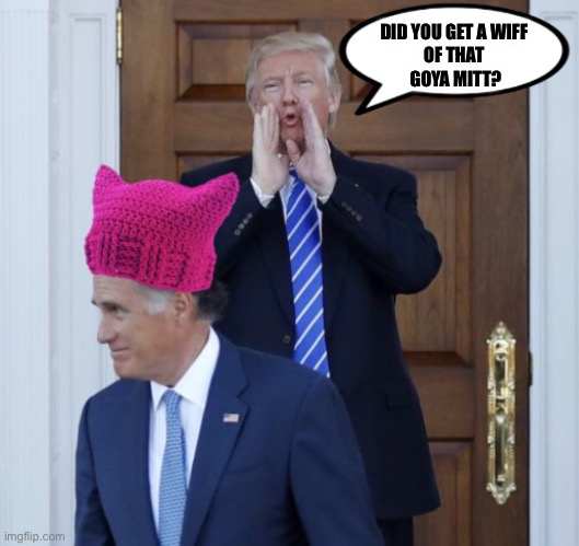 Mitt hat | DID YOU GET A WIFF 
OF THAT 
GOYA MITT? | image tagged in mitt hat | made w/ Imgflip meme maker