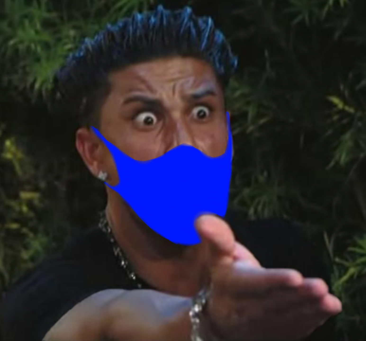 DJ Pauly D [masked] Blank Meme Template