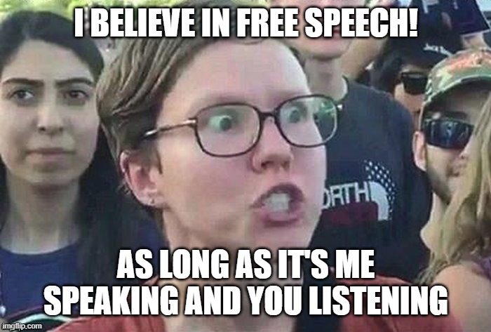 meme angry woman | I BELIEVE IN FREE SPEECH! AS LONG AS IT'S ME SPEAKING AND YOU LISTENING | image tagged in meme angry woman | made w/ Imgflip meme maker