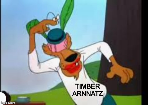 TIMBER
ARNNATZ | made w/ Imgflip meme maker