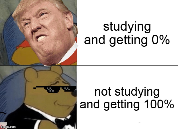 Tuxedo Winnie The Pooh Meme | studying and getting 0%; not studying and getting 100% | image tagged in memes,tuxedo winnie the pooh | made w/ Imgflip meme maker