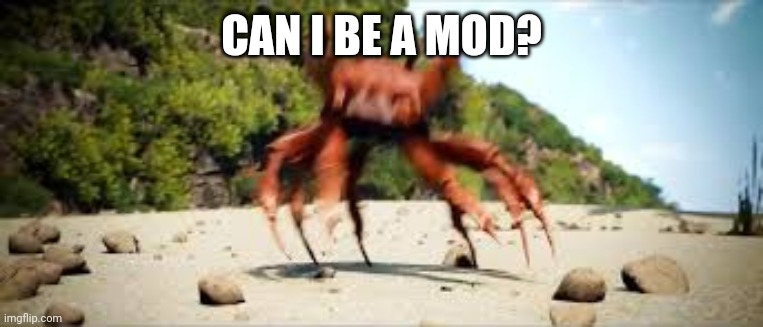 crab rave | CAN I BE A MOD? | image tagged in crab rave | made w/ Imgflip meme maker